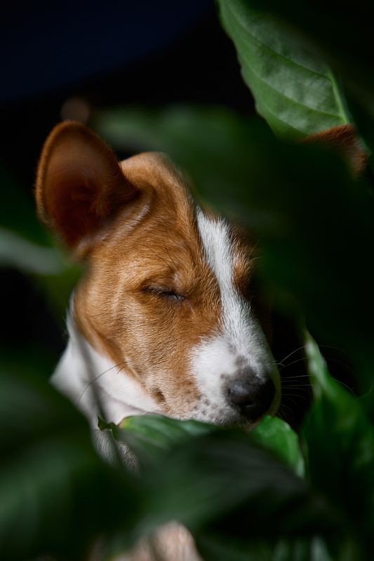 Уснул на работеphoto preview