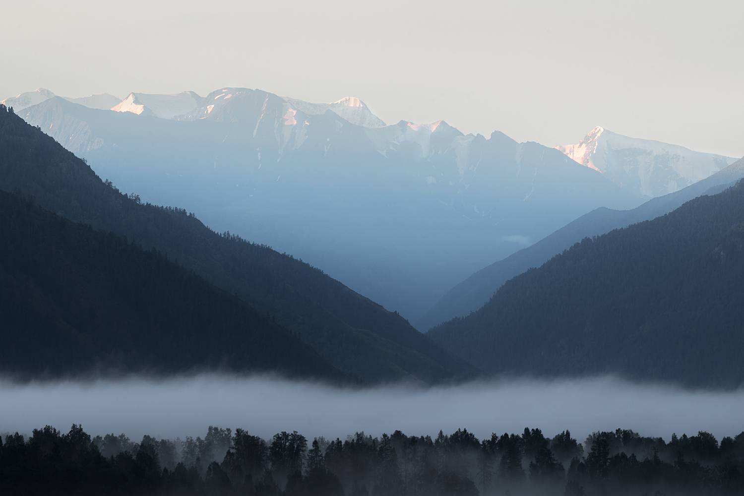 Белуха. Автор: Андреева Светлана белуха, горный алтай, Андреева Светлана