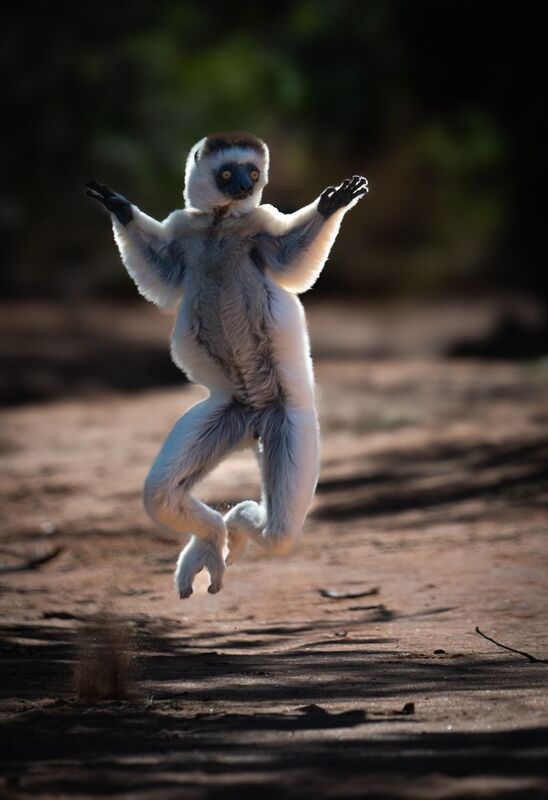 Мадагаскар photo preview