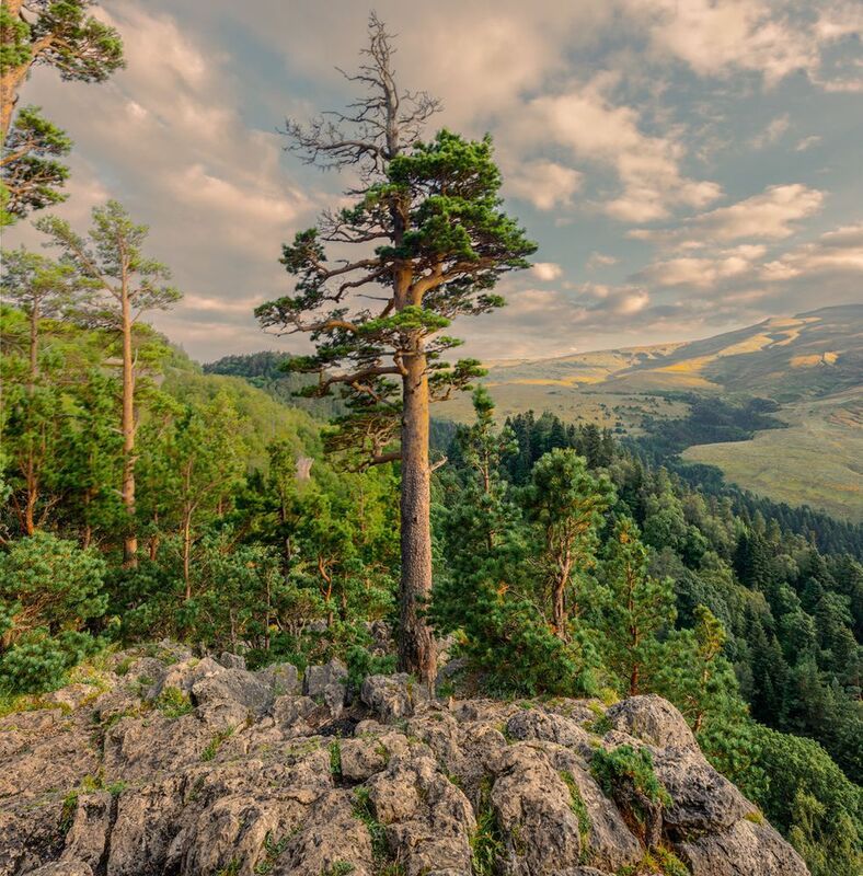 плато Лаго-Накиphoto preview