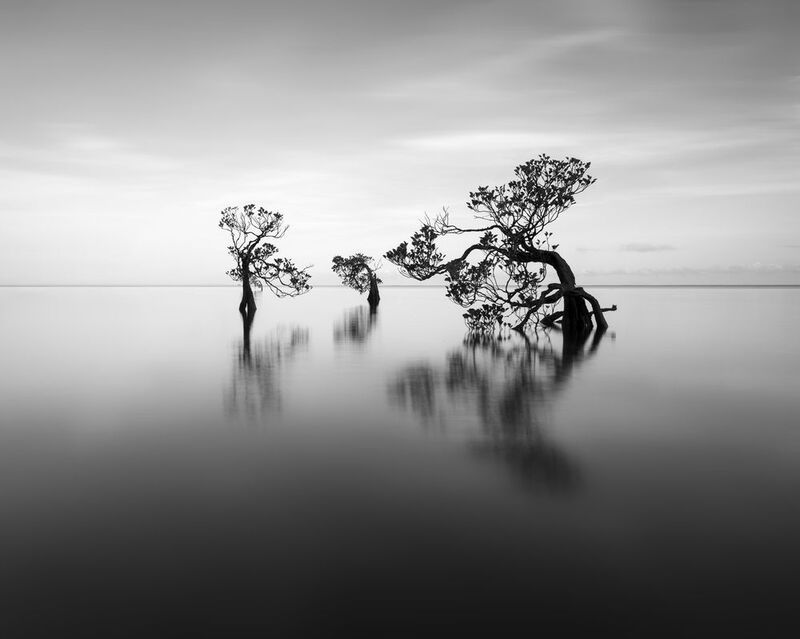 Танецphoto preview