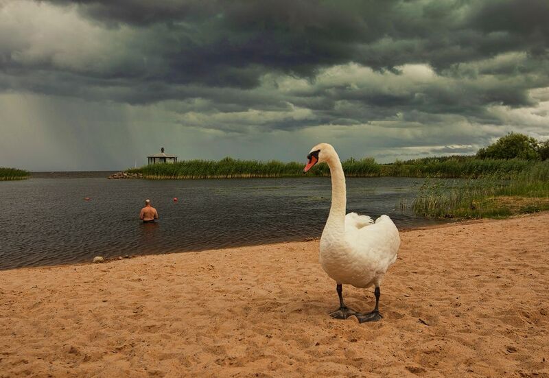 сюжетphoto preview