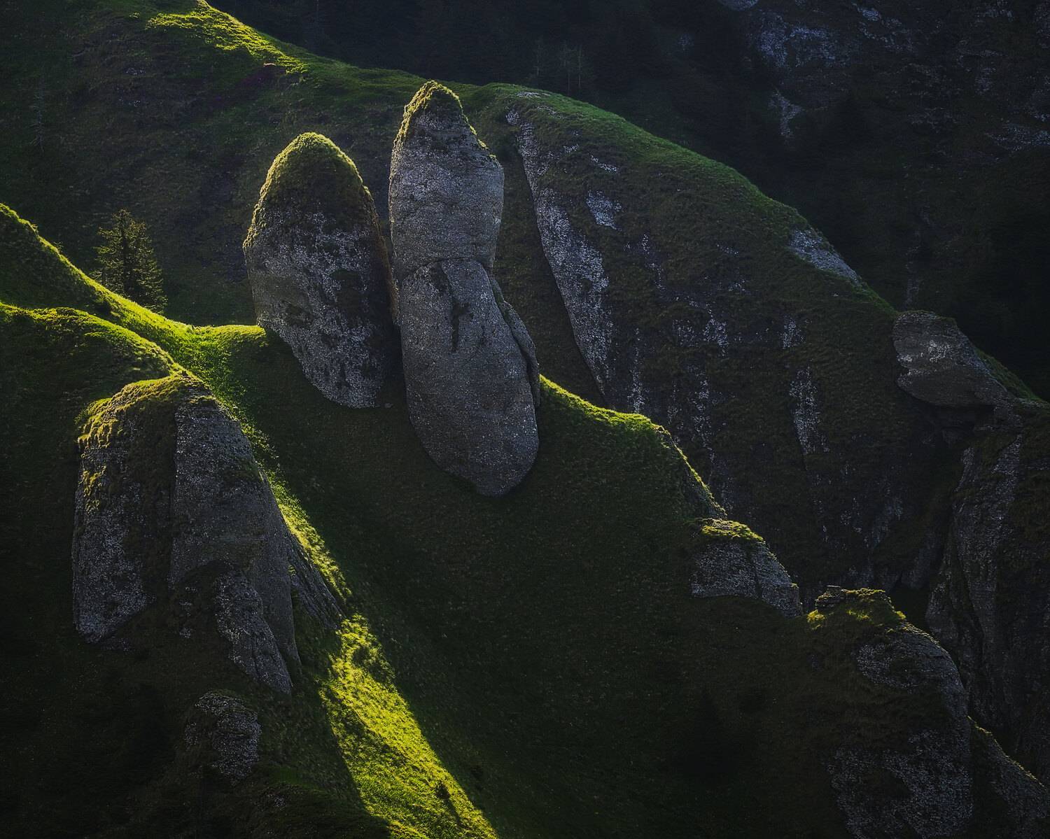 2025. Автор: Stefan Chirobocea , Stefan Chirobocea