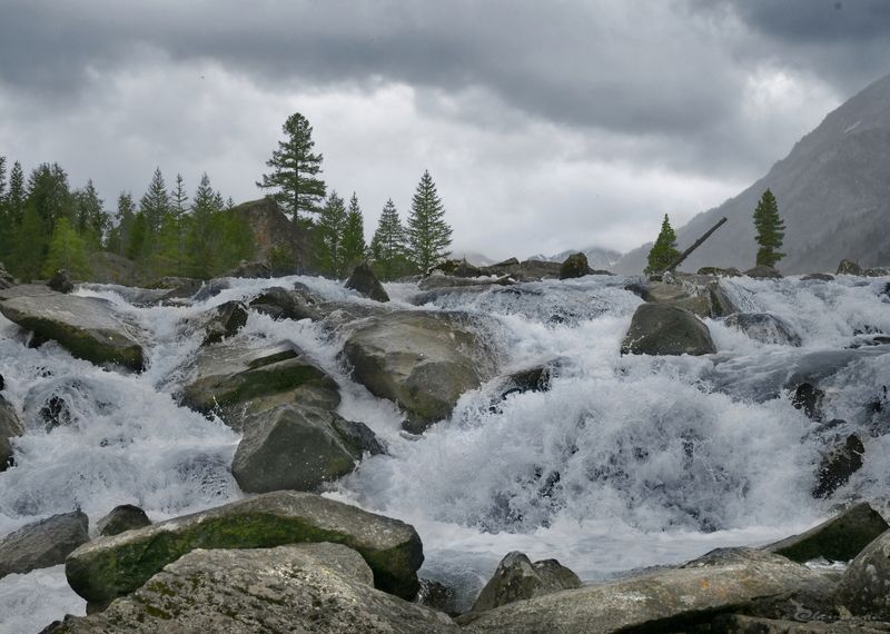 Летний Алтайphoto preview