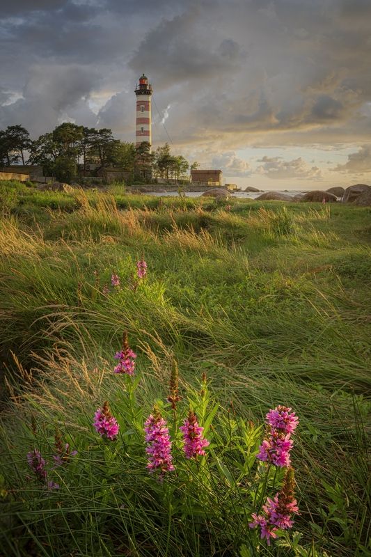 шепелёвский маяк , финский залив , золотой час , закат В уходящих лучах закатаphoto preview