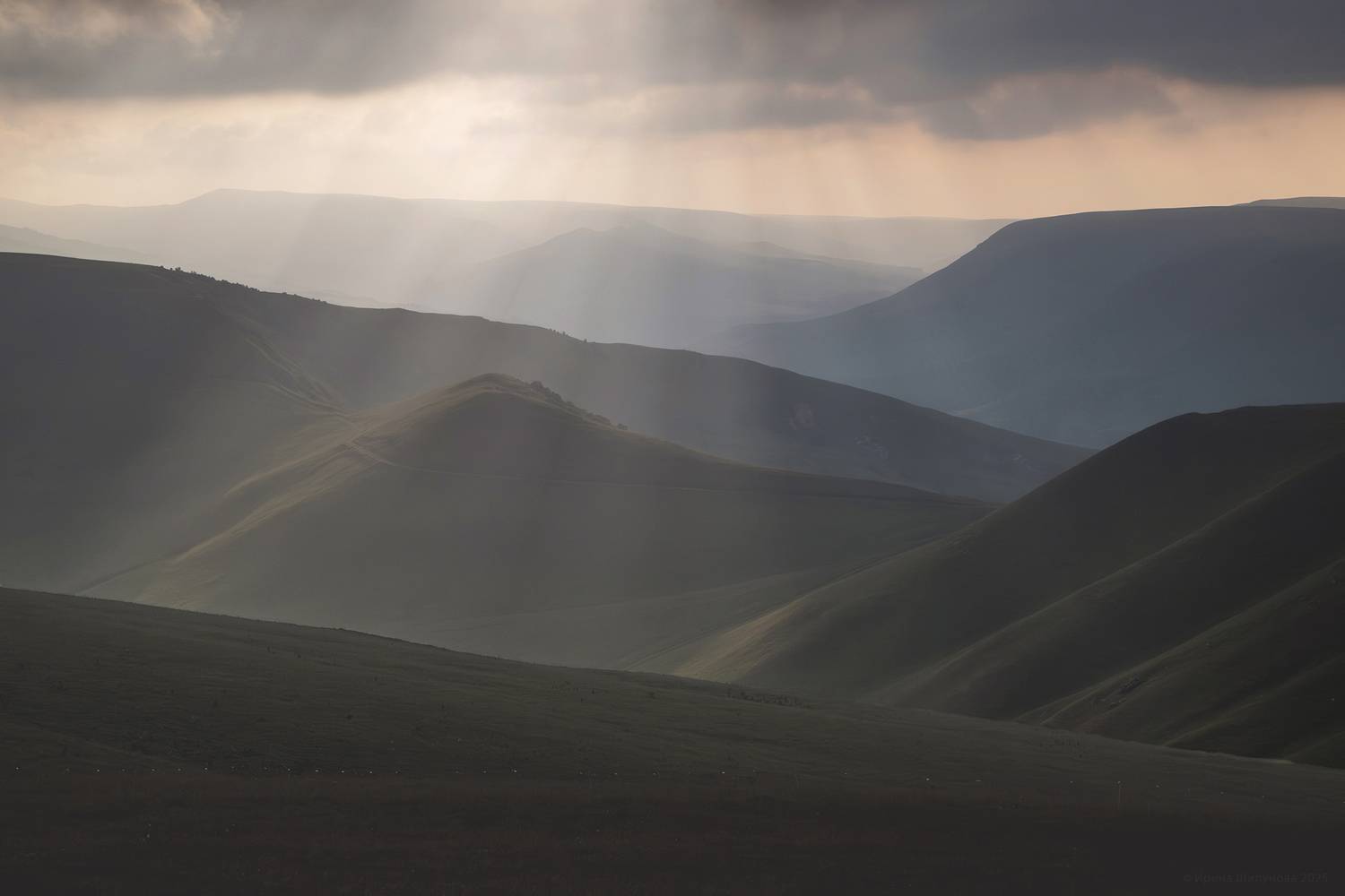 , Шипунова Ирина