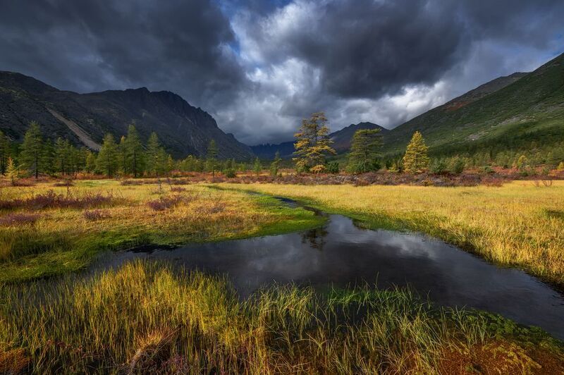 озеро джека лондона Что-то надвигается...photo preview