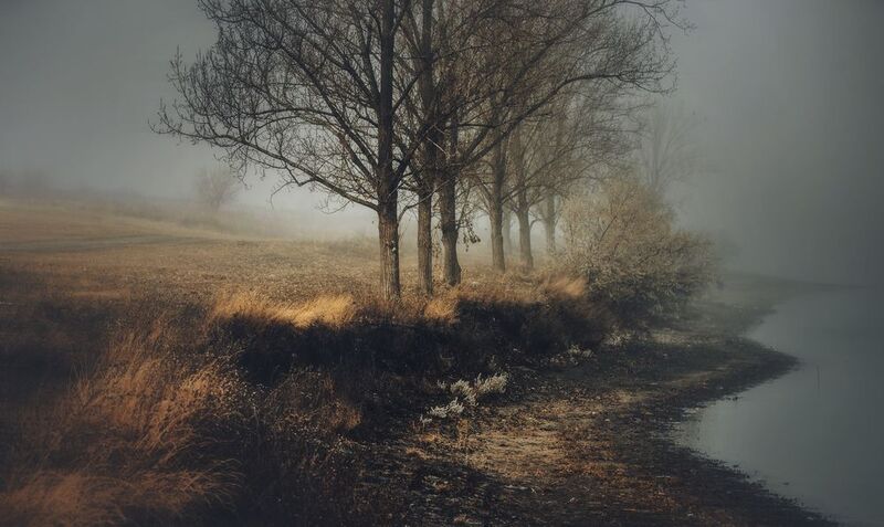 Жажда житьphoto preview