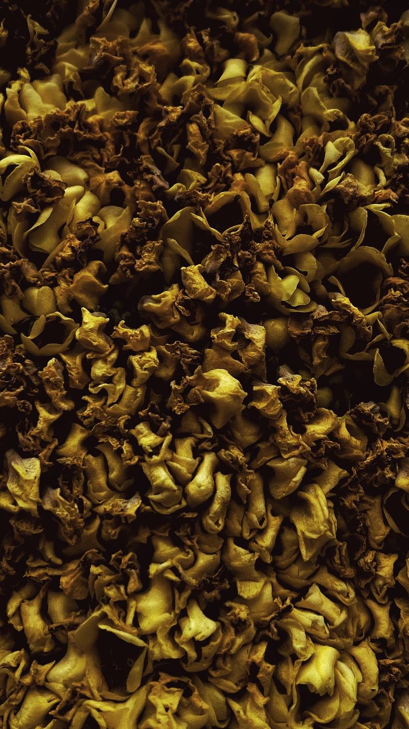 Golden. Автор: დოლიძე ირაკლი , დოლიძე ირაკლი