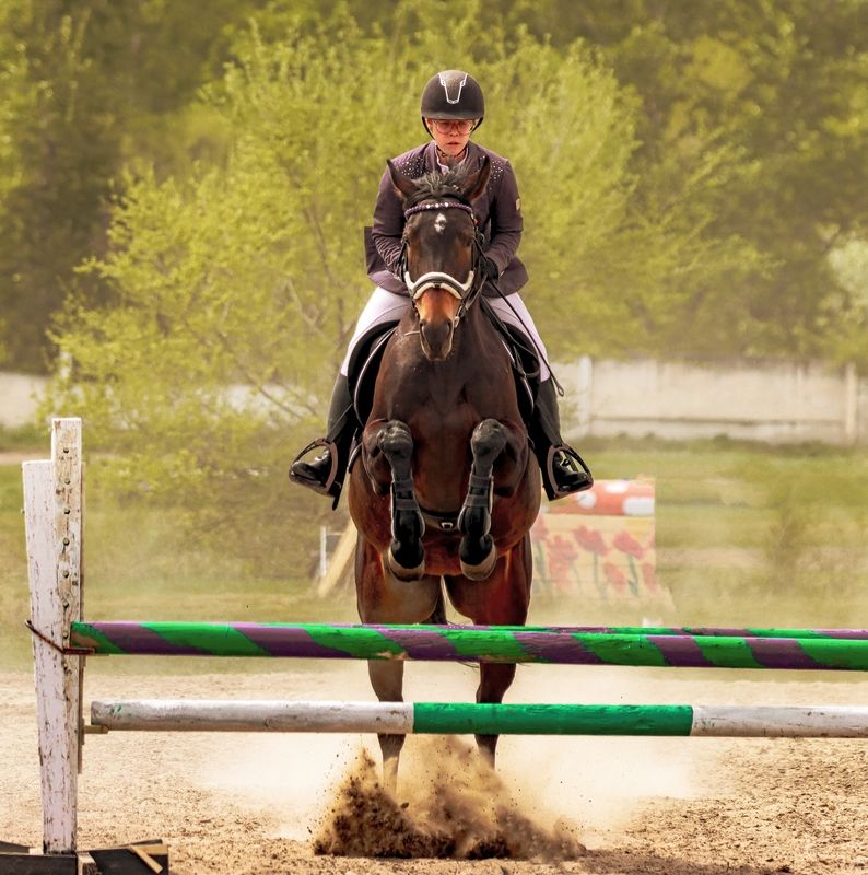 Ипподром, лошади, соревнования, наездницы. Соревнования photo preview