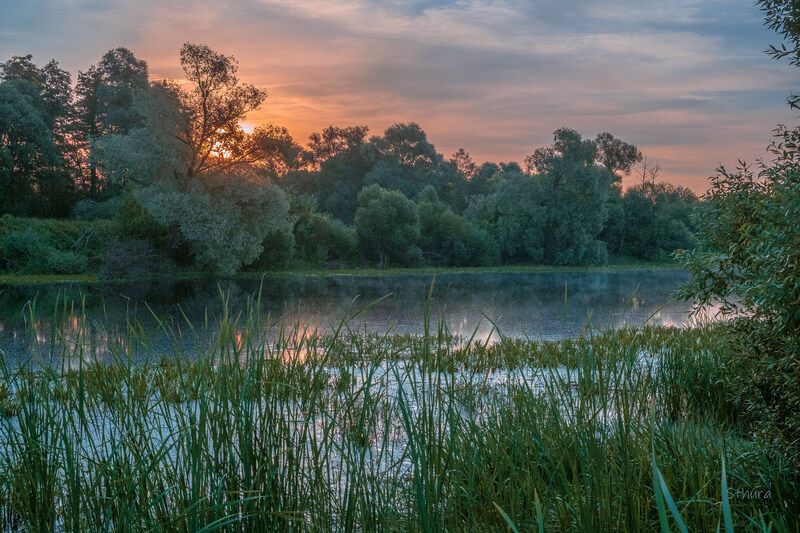 лето озеро рассвет облака природа пейзаж Летнее утро.photo preview