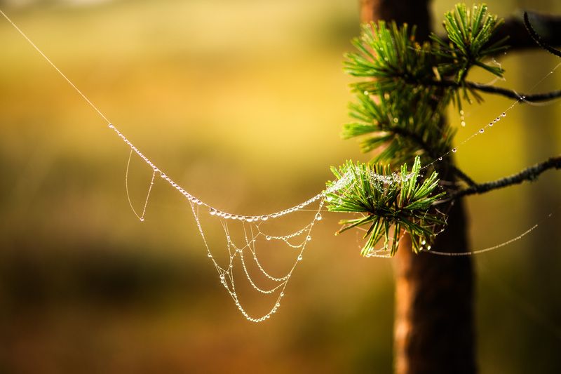 Природные бусыphoto preview