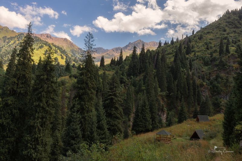 горы пейзаж природа ели Летние зарисовки... фото превью