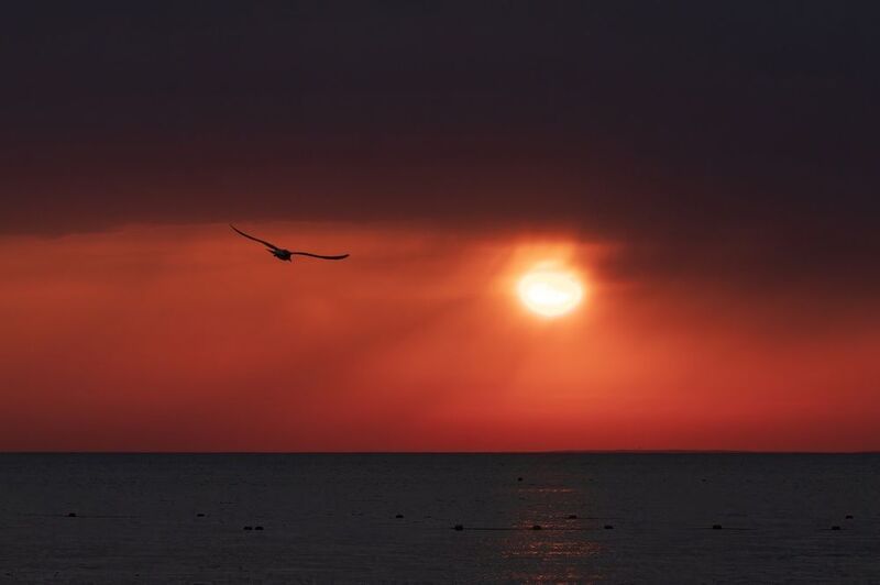 Вечер в Витязевоphoto preview