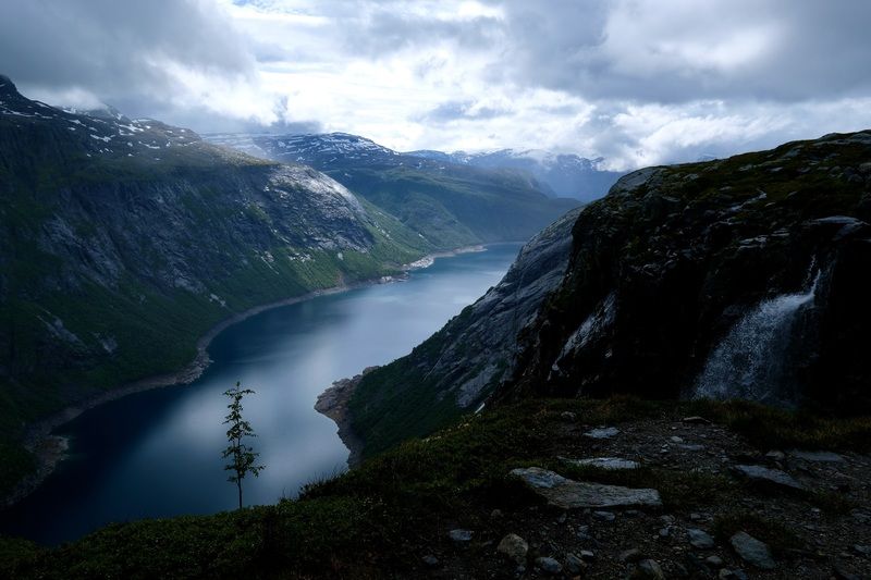 Landscapes, Fjord, Norway, Tree, Mood, Mountains, View,  Одинокая рябинаphoto preview