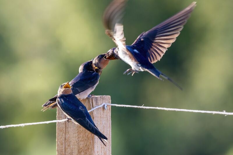 Всем попорядкуphoto preview