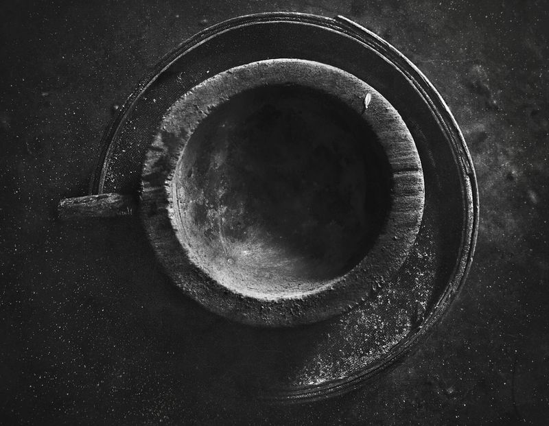чёрно-белое, ночь, лепесток, сон, black and white, b & w, still life, moon shadow На границе сна и явиphoto preview