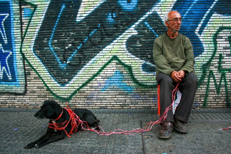 streetphotography, street, fotografía callejera, bastian cifuentes araya, periodista furioso, streetphoto, street photo, street photography, dog, perro SIN TÍTULOphoto preview