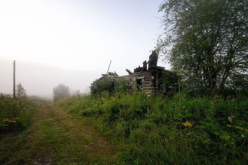 пермский край, пейзаж, рассвет, красота природы, поле, лето, река, природа, дикая природа, койва, лес, усть-койва Забвение фото превью