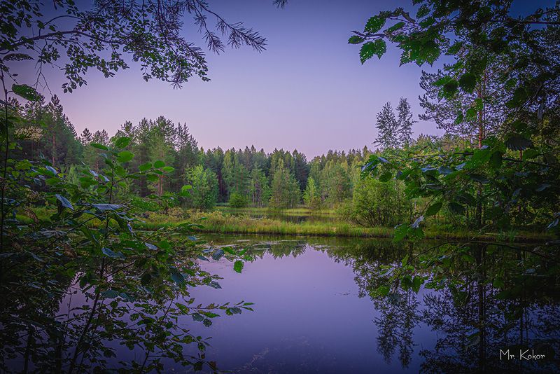На болоте фото превью
