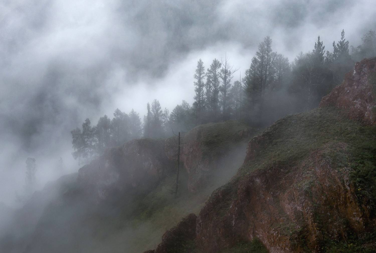 туман, торгашинский хребет, склоны, Марина Фомина