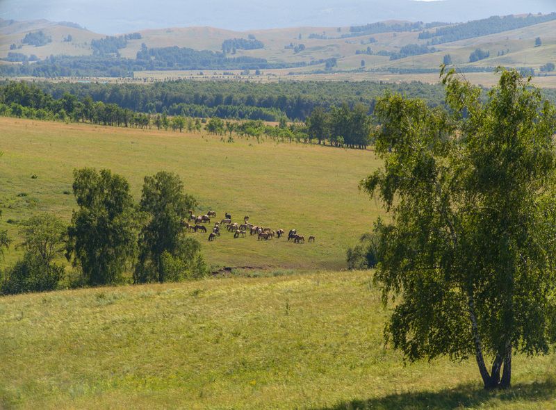 на просторахphoto preview