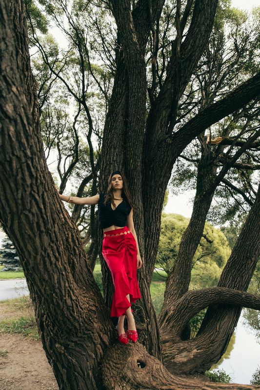 Веткиphoto preview