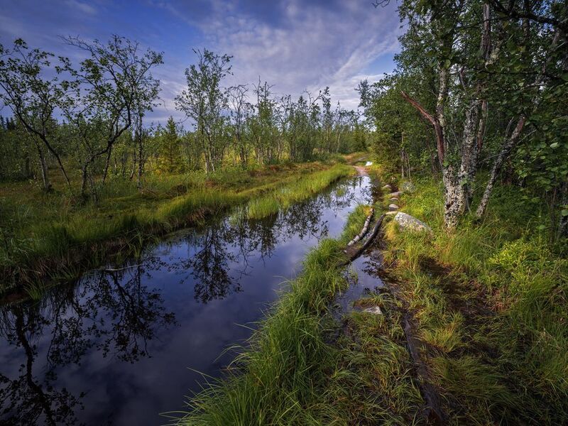 соловки, соловецкие острова, большая муксалма, дамба, болота Дорога на Большую Муксалму фото превью