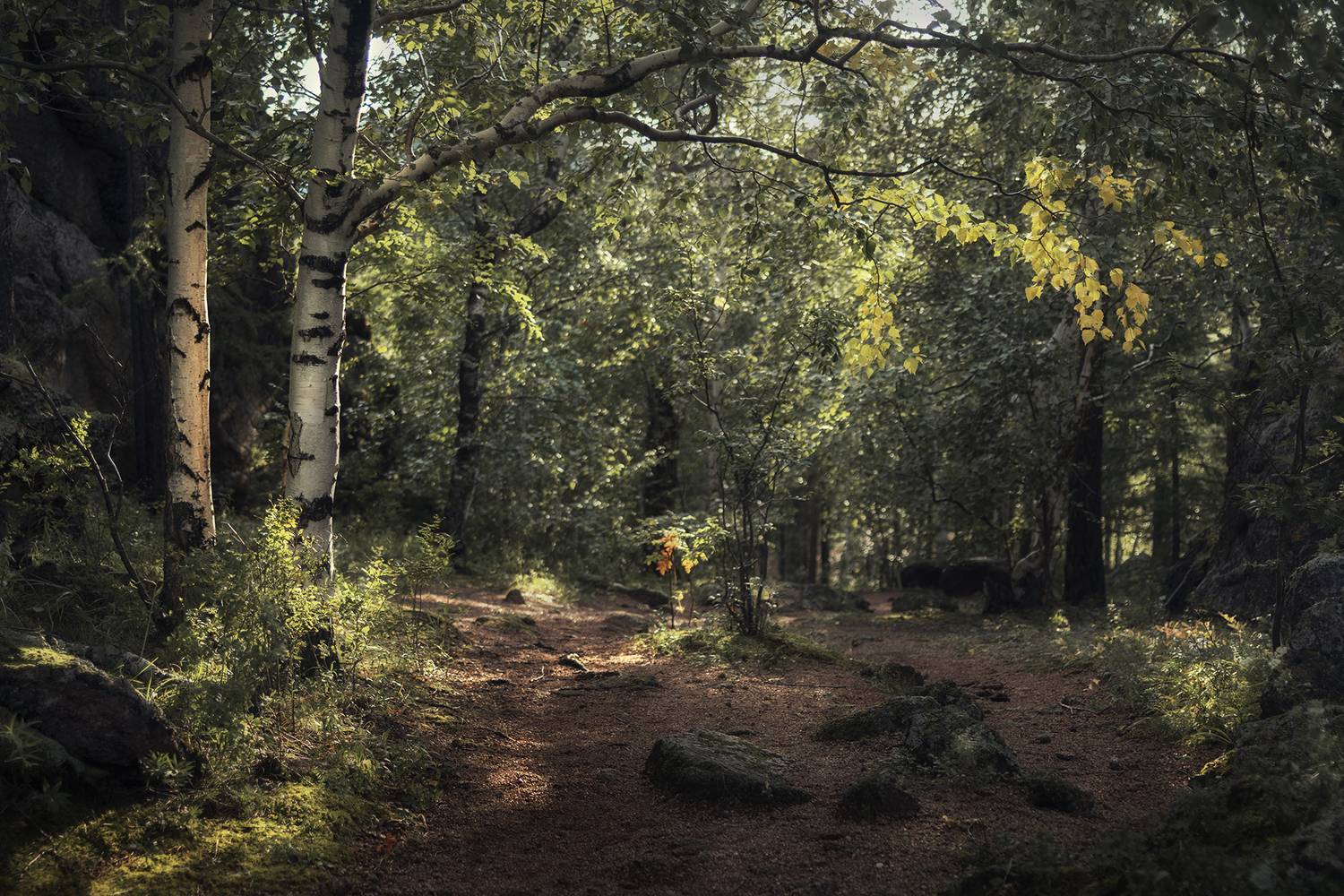 После дождя. Автор: Андреева Светлана красноярские столбы, Андреева Светлана