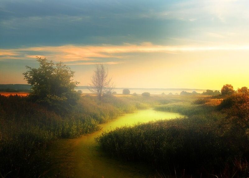 abashkin sergey, абашкин сергей, природа, forest, nature, пейзаж, туман, река, нижний новгород, майморы, озерка, кужутки Туманное утроphoto preview