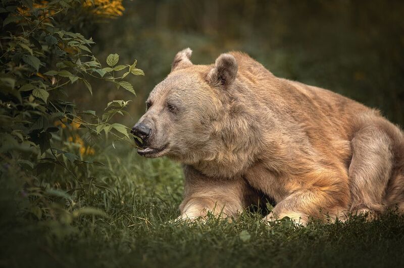 «Тишина и гармония природы.»photo preview