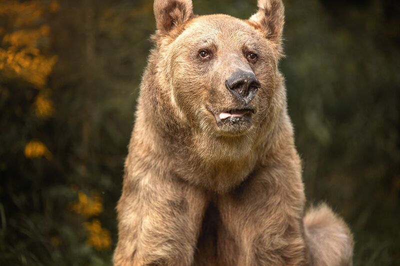 «Улыбка, которая стирает границы.»photo preview