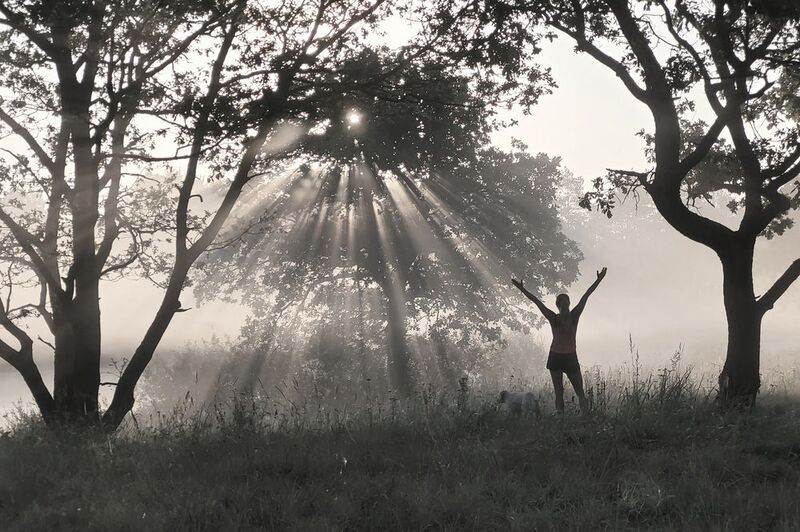 Встречая рассветphoto preview