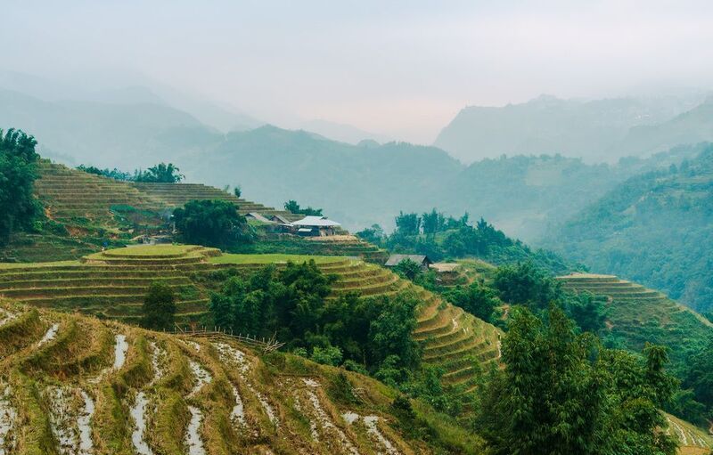 вьетнам, сапа, са па, рис, рисовые терассы Са Паphoto preview