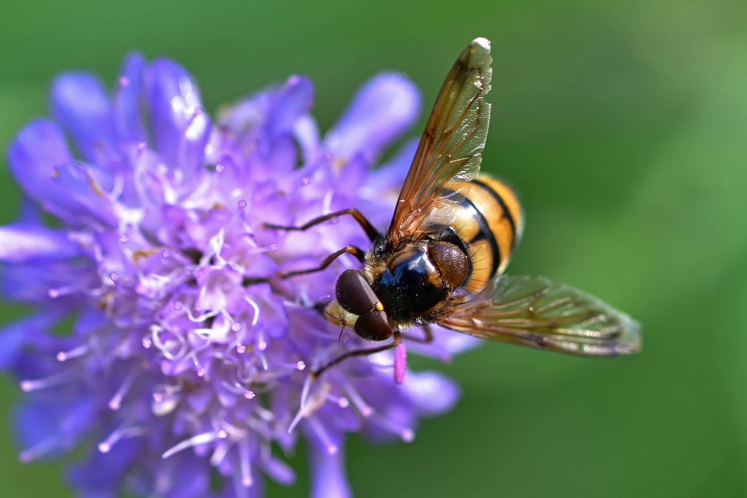 Автор: Корнейчук Игорь , Корнейчук Игорь
