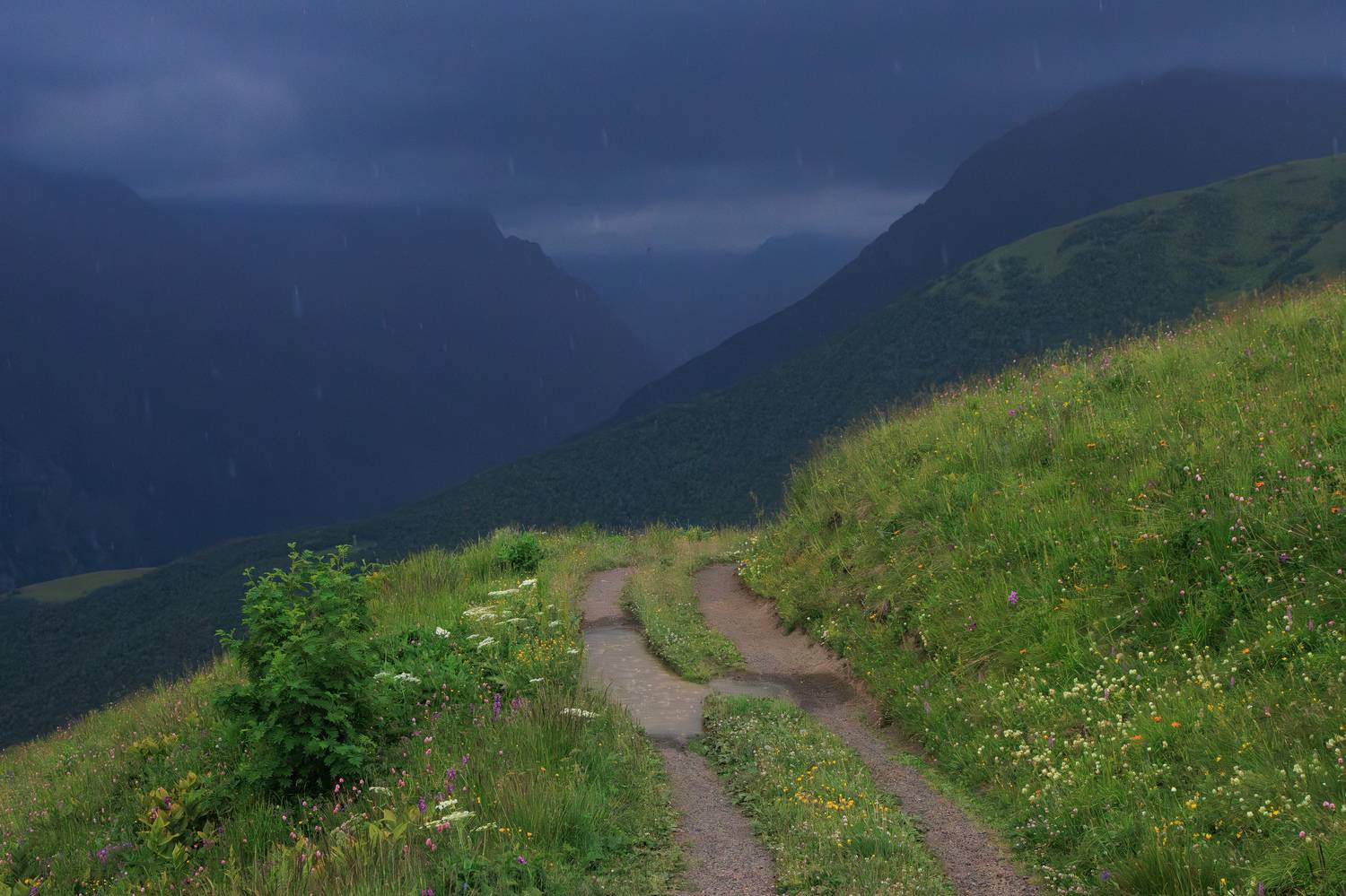 горы туча облако ливень дождь, Светлана Холодняк