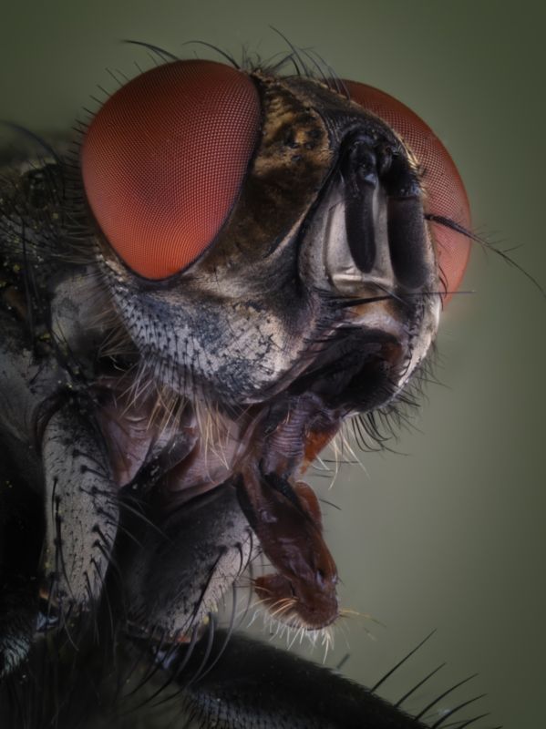 КРИК.photo preview