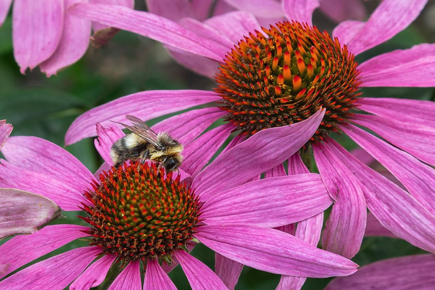 , Ушаков Валерий