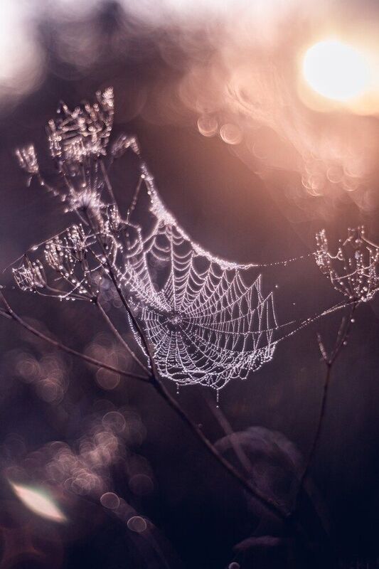 Магия утраphoto preview