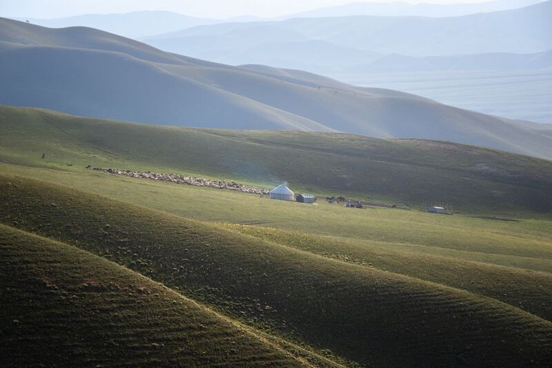 тянь-шань, горы, графика гор, пейзаж, природа, стойбище, животные, юрта, раннее утро, Раннее утро в стойбищеphoto preview