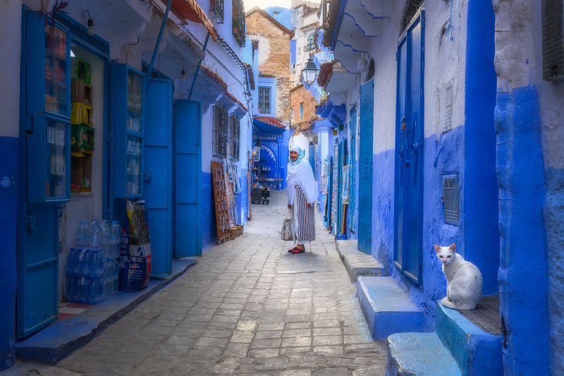 марокко, синий город, шефшауэн, maroc, marocco, street, city, blue, blue city, cat, etnic, africa photo preview