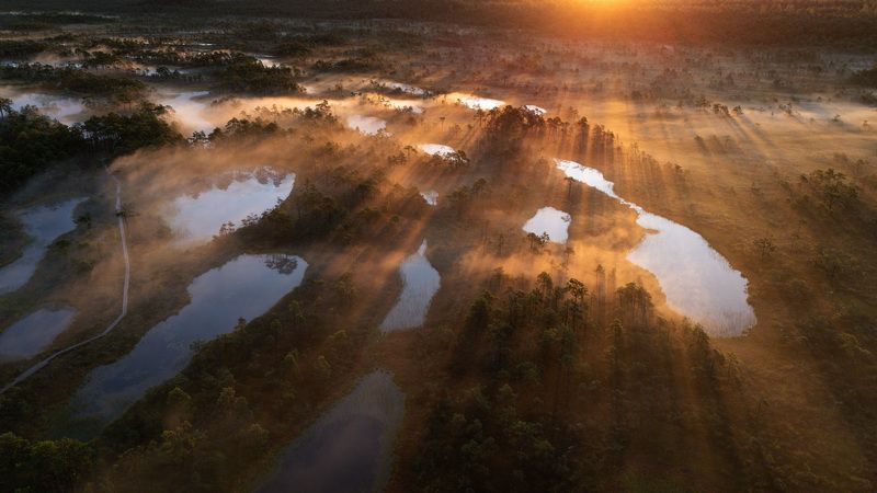 Магия утраphoto preview