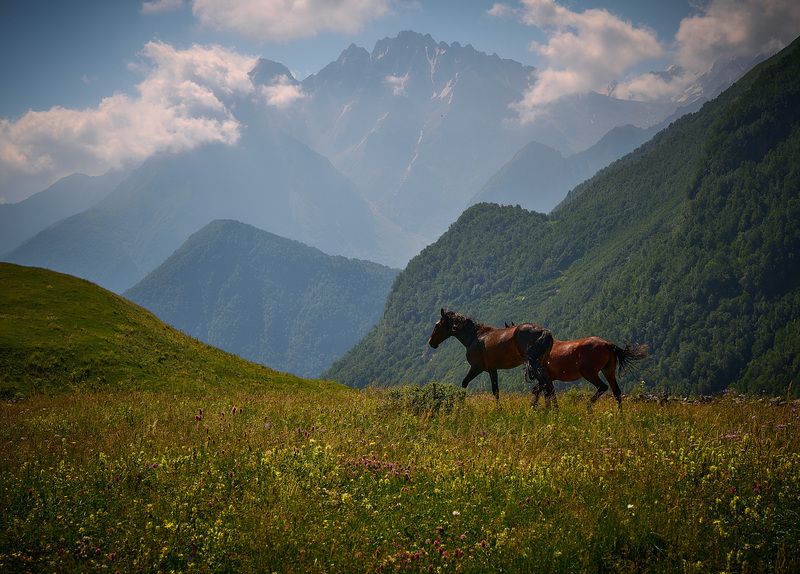 Сказочная Дигория (из серии).photo preview