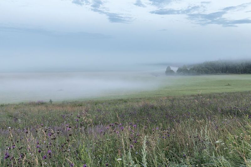 Вечером на поле вышел туманphoto preview