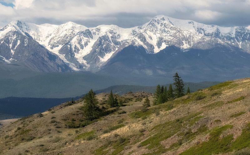 алтай, горы, северо-чуйский хребет, лиственницы У горphoto preview