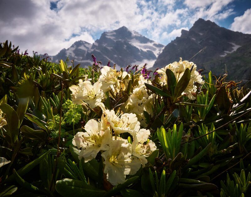 Сказочная Дигория (из серии).photo preview