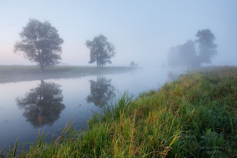 Предрассветная вуаль фото превью