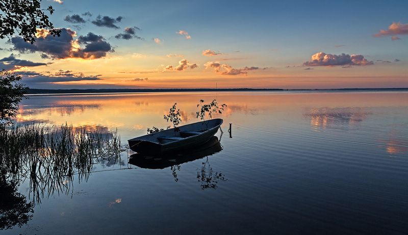 озеро, нарочь, лето, утро Спряталась... фото превью