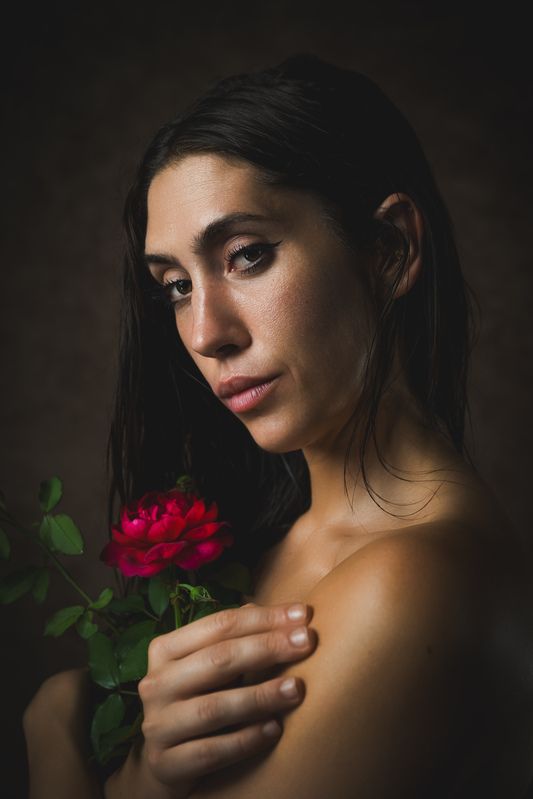 Rosa rossaphoto preview