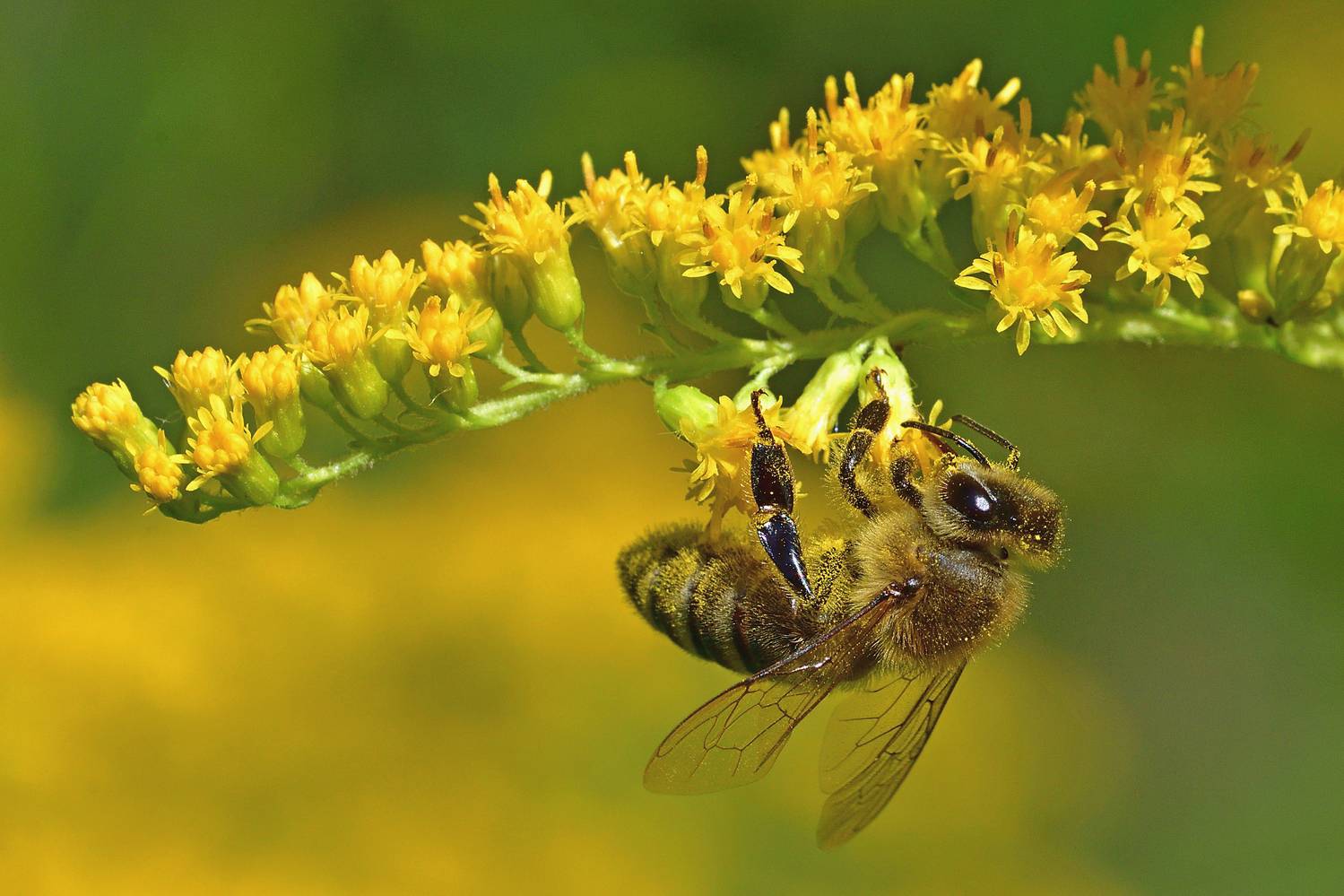 , Корнейчук Игорь